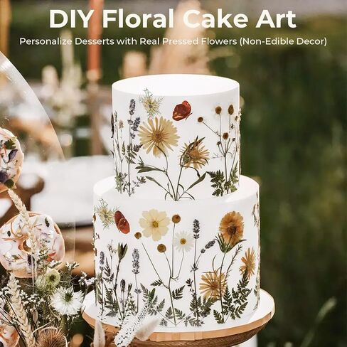 48 PCS Pansy Pressed Flowers للحرف اليدوية ، الزهور المجففة الأرجواني للراتنج ، مجموعة كبيرة من السجمية الطبيعية JONTH JUMP-UP لـ DIY ، كتب القصاصات ، صنع الصابون ، تزيين الكيك ، زخرفة الزفاف in Kuwait