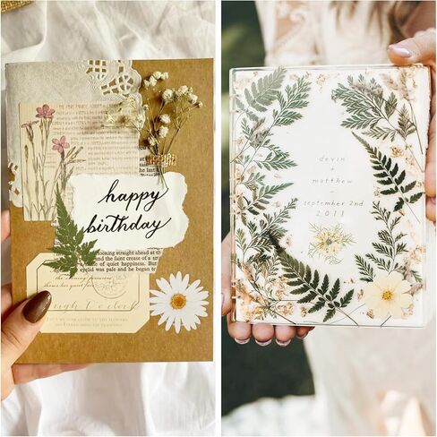 48 PCS Pansy Pressed Flowers للحرف اليدوية ، الزهور المجففة الأرجواني للراتنج ، مجموعة كبيرة من السجمية الطبيعية JONTH JUMP-UP لـ DIY ، كتب القصاصات ، صنع الصابون ، تزيين الكيك ، زخرفة الزفاف in Kuwait