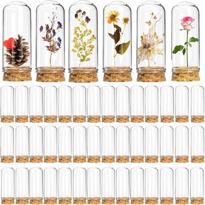 50 Pack 40ml Transparent Glass Cylindrical Cloche Dome Set with Cork Stoppers for Candy, DIY Art Crafts, Wedding Party Favors