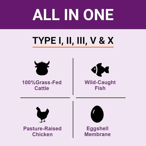 Zammex Multi Collagen Peptides, 5 Types of Hydrolyzed Collagen Unflavored Protein Powder, 60 Serving, Premium Grass-Fed Beef, Chicken, Wild Fish, Eggshell, Keto & Paleo Friendly, Easy Mix in Saudi Arabia