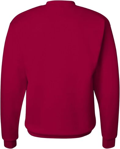 Hanes EcoSmart Crewneck Sweatshirt 2XL Wow Pink in Saudi Arabia