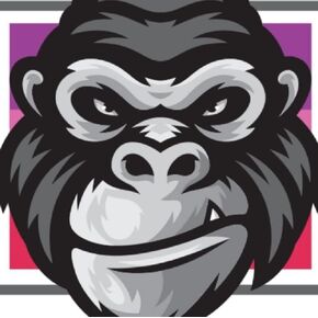 Gorilla Automotive 71641XBC X2 Lock Acorn 14-1.50 Blk Clam