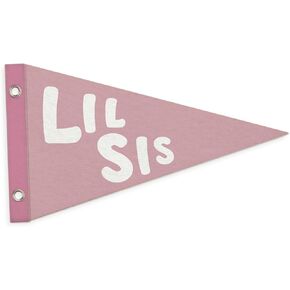 Girls Room Decor Felt Banner, Pink Decor Wall Hanging Pennant Banner Flags for Little Sisters,Little Girl Room,Nursery,Bedroom,Homeschool 7.4x14 Inch