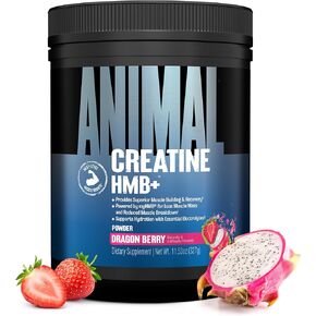 Animal Creatine HMB+ - Creatine Monohydrate Powder with HMB & Electrolytes, Supports Muscle Growth, Recovery, Endurance, Gym & Workout Supplements for Men & Women - Dragon Berry Flavored, 30 Servings