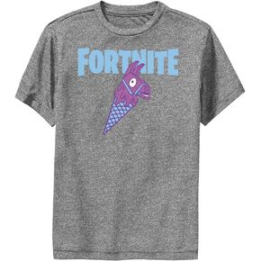 FORTNITE Boys' Llama Cone T-Shirt