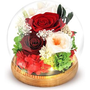 Forever Preserved Flowers Roses in Glass Dome with Led Light Graduation Gifts, Eternal Rose Long Lasting Flowers Gifts for Wife Women Grandma Friends on Birthday Anniversary(Pink)