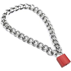 Padlock Necklace Metal Chain Collar Choker Heart Lock Necklace with Key and Box for Women, Men and Pet (16 to 22 Inches)