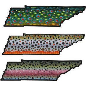 Tennessee 6" Trout Fly Fishing Bumper Sticker Decal Set Waterproof Vinyl Great Gift for Angler Truck Jeep Car Boat Brown Trout Rainbow Trout Brook Trout