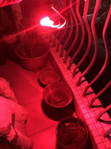 10 قطعة الأحمر 2.5 بوصة البيضاوي 4 SMD مقطورة الجانب ماركر Led أضواء شاحنة التخليص أضواء أضواء المقطورة مؤشر مقاوم للماء in Kuwait