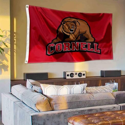 شركة College Flags & Banners Co. Big Red Cornell Large in Kuwait