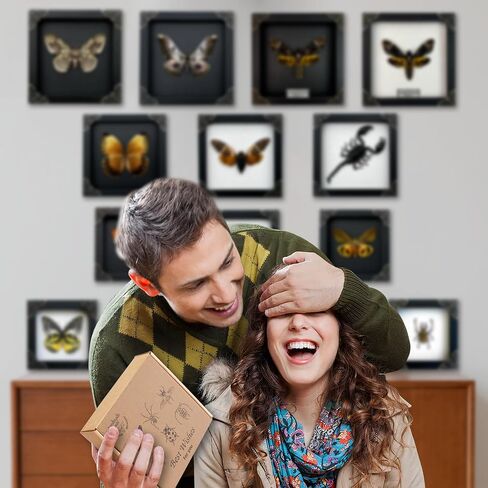 Custom Butterfly Wooden Frame Personalize Gifts Valentines Day Gifts Goth Love Handmade Taxidermy Moth Insect Display Oddities Shadow Box Gift Idea Couple Men Woman Girlfriend Boyfriend Husband Wife in Saudi Arabia