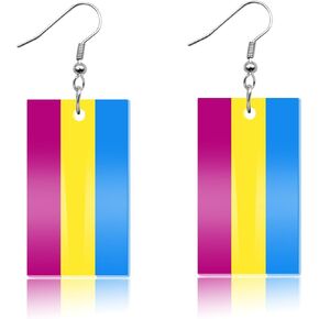 Nanafast LGBT Rainbow Pride Earrings for Women Lesbian Bisexual Pansexual Transgender Nonbinary Asexual Gender Fluid Progress Flag Heart Earrings LGBTQ Pride Jewelry for Pride Month