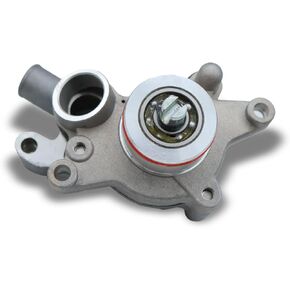 LOONGPART 1C0-E2420-01 Water Pump Assembly Compatible With Yamaha VP300 Xc-Versity 02-06 Yamaha YP250 4HC-E2420-00 5GM-12420-02