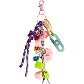QTMY Keychain Bag Charms for Handbag Purse Backpack Accessories for Bogg Bag,676