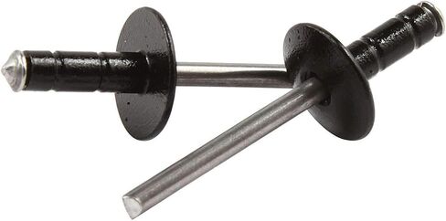Allstar Performance ALL18095 Black 1/16' to 3/8' Range Multi-Grip Style Large Head Rivet with Steel Mandrel, (Pack of 250) in Saudi Arabia
