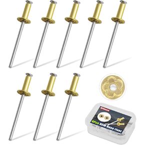 4 Pair Nos Dash Rosette Rivets Stainless Steel Fit for GM Ford AMC VIN Door Tag with a Storage Box (Silver)