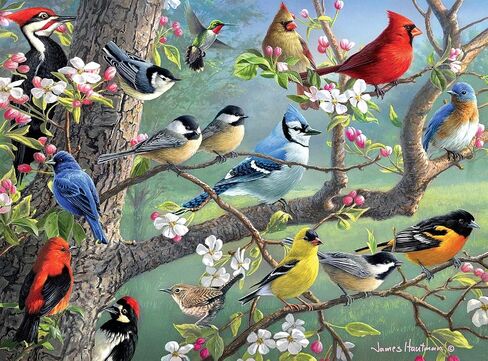 Buffalo Games - Hautman Brothers - Birds in an Orchard - 1000 Piece Jigsaw Puzzle in Saudi Arabia