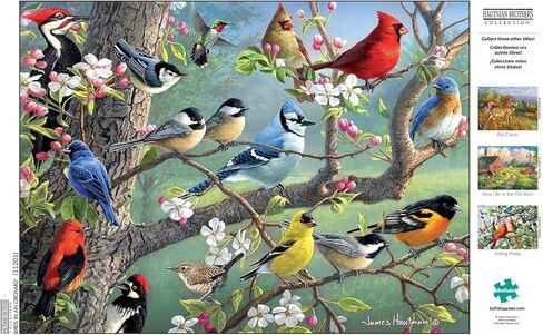 Buffalo Games - Hautman Brothers - Birds in an Orchard - 1000 Piece Jigsaw Puzzle in Saudi Arabia