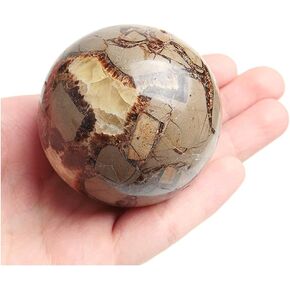 1Pcs 5-6cm Natural Dragon Septarian Sphere Crystal Ball Specimen Healing Stone Random