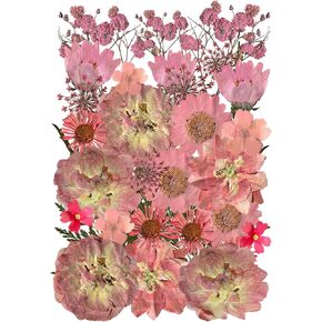 Natural Dried Pressed Flowers, Real Nature Flowers Craft Set for Resin Jewelry Candle Soap Vase Making Nail Card Scrapbook Art Floral Decors (Purple)