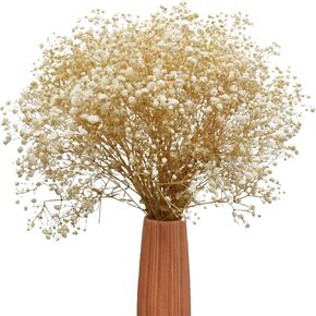 TooGet Purple Natural Dried Flowers Babys Breath Bouquet Gypsophila Branches for Home Decor, Wedding, Table Decor, DIY Wreath Floral, Dry Flowers Bulk for Vase