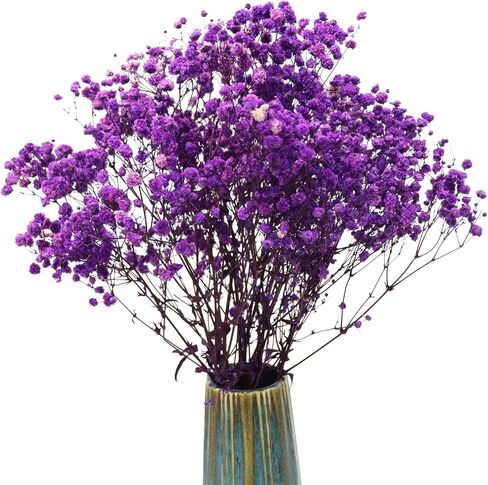 TooGet Purple Natural Dried Flowers Babys Breath Bouquet Gypsophila Branches for Home Decor, Wedding, Table Decor, DIY Wreath Floral, Dry Flowers Bulk for Vase in Saudi Arabia