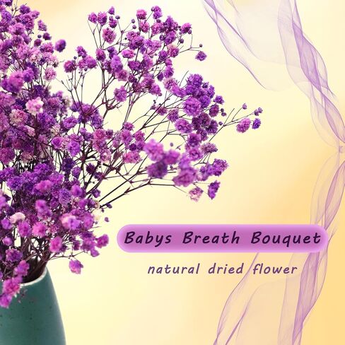TooGet Purple Natural Dried Flowers Babys Breath Bouquet Gypsophila Branches for Home Decor, Wedding, Table Decor, DIY Wreath Floral, Dry Flowers Bulk for Vase in Saudi Arabia