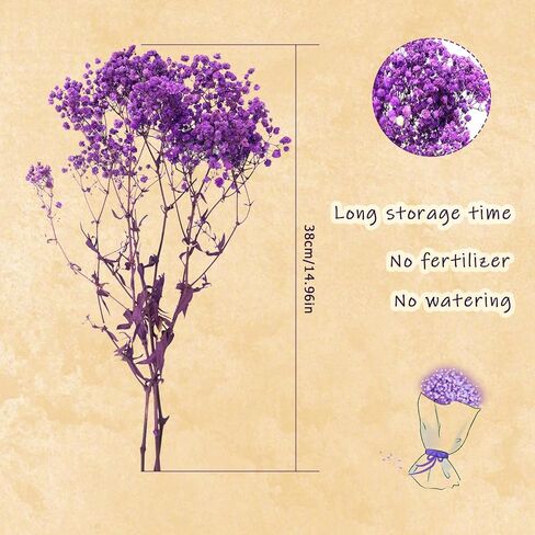 TooGet Purple Natural Dried Flowers Babys Breath Bouquet Gypsophila Branches for Home Decor, Wedding, Table Decor, DIY Wreath Floral, Dry Flowers Bulk for Vase in Saudi Arabia