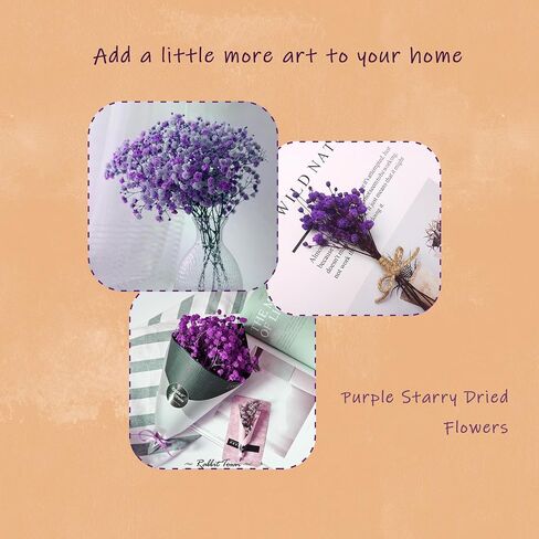 TooGet Purple Natural Dried Flowers Babys Breath Bouquet Gypsophila Branches for Home Decor, Wedding, Table Decor, DIY Wreath Floral, Dry Flowers Bulk for Vase in Saudi Arabia