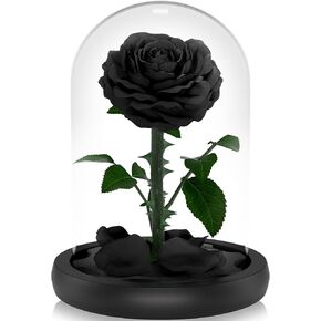 READAEER Forever Flower in Glass Dome, Preserved Flowers for Mothers Day, Eternal Rose Gifts for Her, Mothers Day Anniversary Thanksgiving Birthday Real Roses Gifts for Wife (Black)