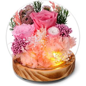 Preserved Sunflower and Rose Glass Dome with LED Lights,Wooden Base, for Valentine's Day, Mother's Day, Birthday,Christmas,for You to Send Love for All Occasions, for Indoor Decoration