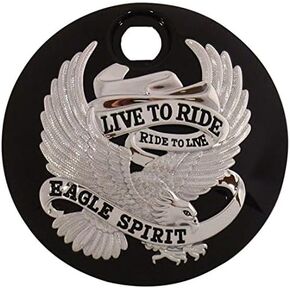 Black Eagle Spirit FLT Fuel Tank Console Door