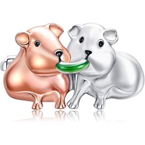 MONGAS Guinea Pig Pin Sterling Silver Guinea Pig Brooches Animal Jewelry Gifts for Women