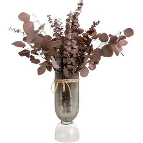 SCINTILLA Dried Eucalyptus Mix, Silver Dollar Leaf, Real Natural Plant, Wedding, Home Decor, DIY, Vase Filler, Total of 25 Pieces, Brown