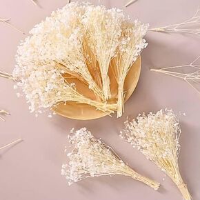 6200+ عاج أبيض تجفيف زهور التنفس - 100 ٪ 100 ٪ gypsophila mini bouket الجزء الأكبر لترتيب الزفاف الأزهار ديكور المنزل ، DIY الحرف ، صنع الشموع ، زينة حفلة عيد ميلاد