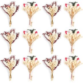 12PCS Mini Dried Flower Bouquet Dried Wildflowers Dried Flowers Mini Dried Flower with Stem for DIY Photo Props Vase Wedding Decoration in Kuwait