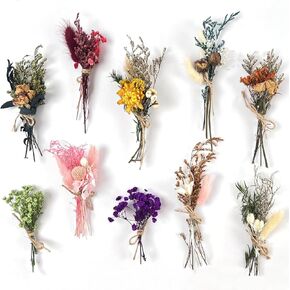 10Pcs Mini Dried Flowers Bouquet, Boho Mixed Natural Dried Flowers, Mini Wedding Handmade Dry Flowers Decor for Wedding Photo Frame Gift Box Home Vase Decorations DIY (Green Series)