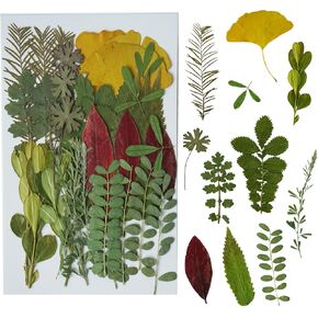 Dried Pressed Flowers for Resin, Real Flowers Dry Leaves Bulk Natural Herbs Kit for Scrapbooking DIY Art Crafts, Epoxy Resin Jewelry Molds, Candle, Soap Making, Nails Décor (Flower, 43 Pcs)