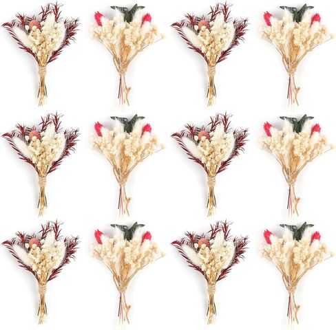 12PCS Mini Dried Flower Bouquet Dried Wildflowers Dried Flowers Mini Dried Flower with Stem for DIY Photo Props Vase Wedding Decoration in Kuwait