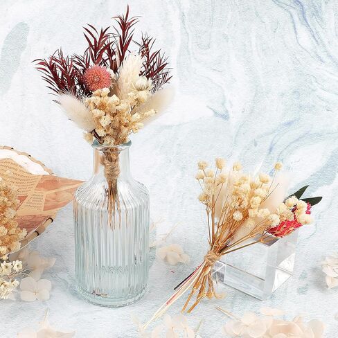 12PCS Mini Dried Flower Bouquet Dried Wildflowers Dried Flowers Mini Dried Flower with Stem for DIY Photo Props Vase Wedding Decoration in Kuwait