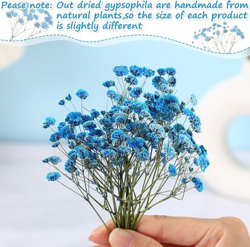 100 pcs baby babys breath flowers babys breaths breath real pressed flowers gypsophila natural for resin wedding art craft baby dey invitations make scrapbooking make (pink) in Kuwait