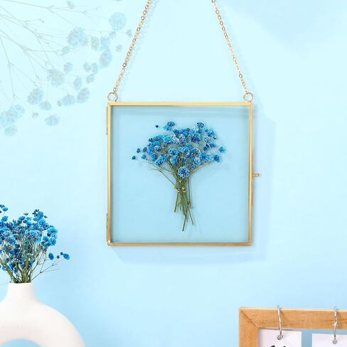 100 pcs baby babys breath flowers babys breaths breath real pressed flowers gypsophila natural for resin wedding art craft baby dey invitations make scrapbooking make (pink) in Kuwait