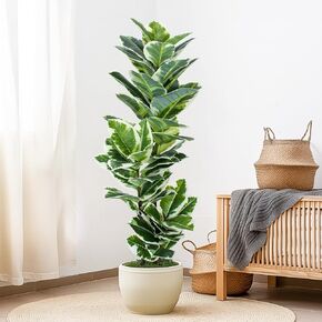 Artificial Rubber Tree - 4 FT Tall Fake Tree with Pot - Artificial Plants Indoor with Lifelike Foliage & Branches - Magnolia Tree Ideal for Indoor/Outdoor Decor