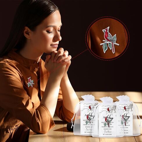 SATINIOR Set of 10 Cardinal Pins Funeral Favors Red Cardinal Brooch Memorial Alloy Oil Dropped Pins Inspirational Poem Cards Organza Bags Cardinal Keepsake Presents Sympathy Gift for Guests(Classic) in Saudi Arabia