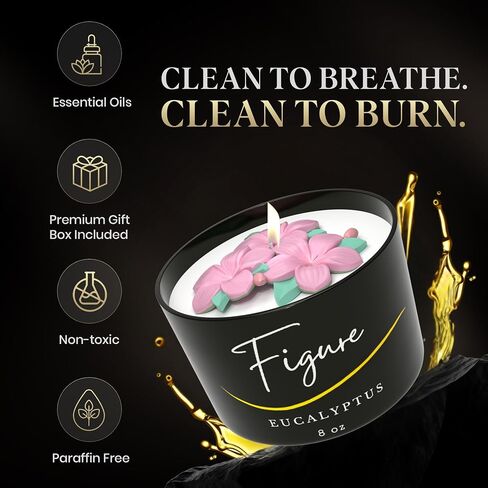 All Natural Scented Candle for Dog & Cat Lovers | Hand-Poured | Aromatherapy | Beeswax & Organic Soy Wax Blend | Essential Oils | 100% Beeswax Wick | Premium Gift Box Included | Paw Eucalyptus 4 oz in Saudi Arabia