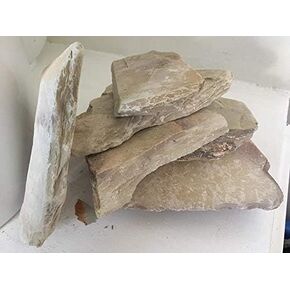 Shale Stones: Gray Variety Pack, 1ct, Unisex, Natural Cut, 1 Count
