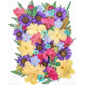 CHANGAR Dried Flower Leaf for Nail Art Crafts，Real Dried Pressed Flowers Leaves Natural Dry Florals for Scrapbooking DIY Art Crafts, Resin Jewelry Molds, Candle, Soap Making, Nails Décor（80 Pcs）