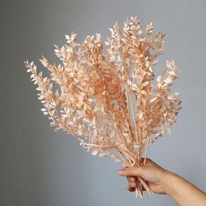 Ruscus aculeatus L.NN NETURAL REAL DRIED FLOWER Bouquet White Home Wedding Decord Diy Conging Table Decoration Epoxy Resin Candles DIY Ploral Materials (Pink)