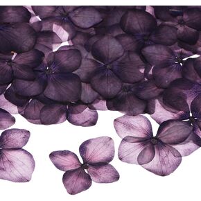 60-Pack Dried Pressed Flowers for Resin, Real Natural Bulk Dry Floral for Crafts/DIY Jewelry/Soap Making/Scrapbooking/Candle/Epoxy Resin Supplies [White]