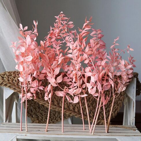 Ruscus aculeatus L.Natural Real Dried Flower Bouquet White Home Wedding Decor DIY Candles Dining Table Decoration Epoxy Resin Candles DIY Floral Materials (Pink) in Saudi Arabia